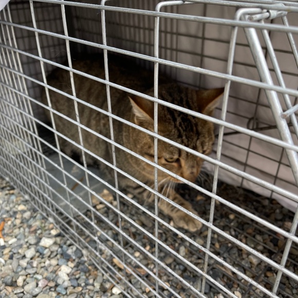 Meet your Posher, Melanie - Picture 2 of 4